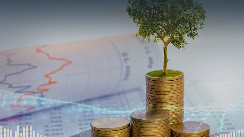 集团财务管控体系咨询报价，如何精准把握价值**